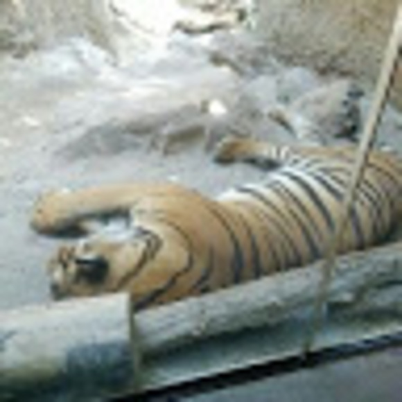 Meet your Posher, Jesse - Picture 1 of 1